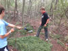 Survival Training